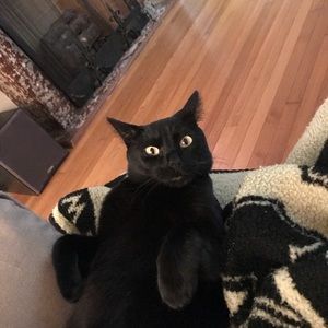 Meet your Posher, Jennifer